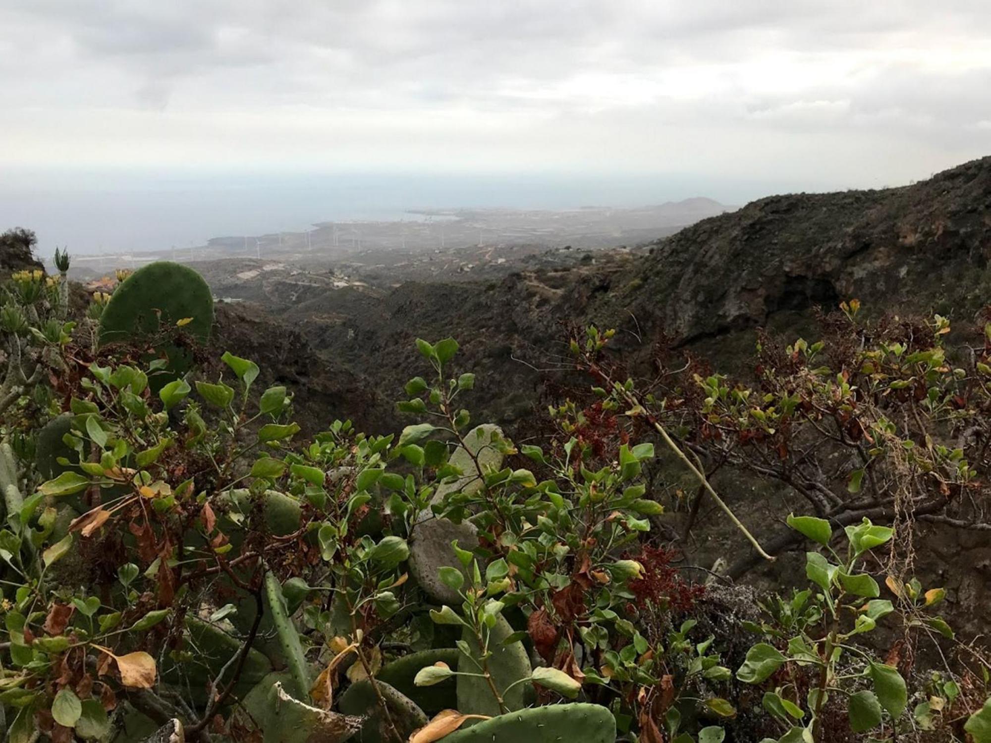 Finca Las Polinarias Casa Cueva En Fasnia Santa Cruz de Tenerife Exteriér fotografie