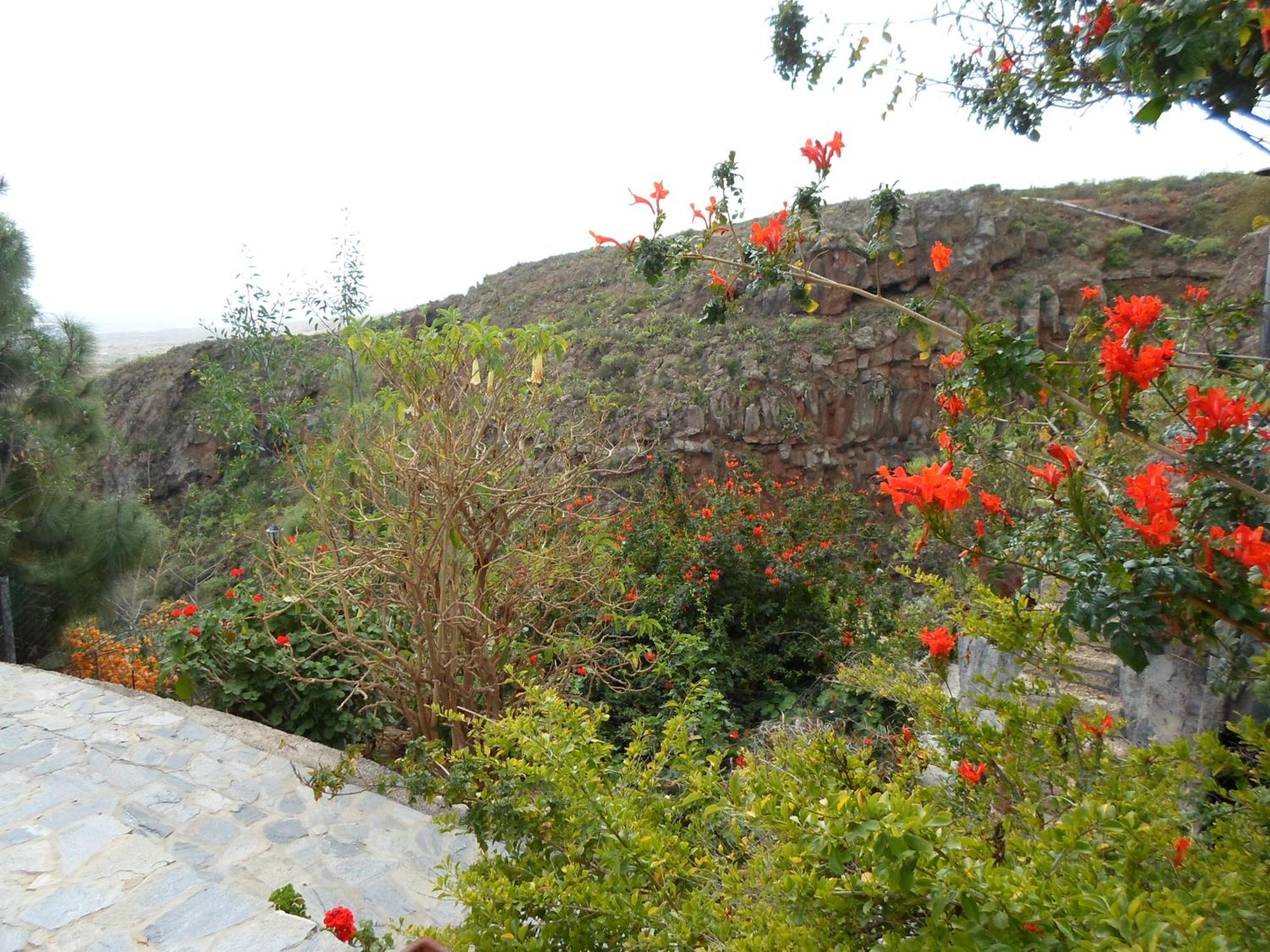 Finca Las Polinarias Casa Cueva En Fasnia Santa Cruz de Tenerife Exteriér fotografie
